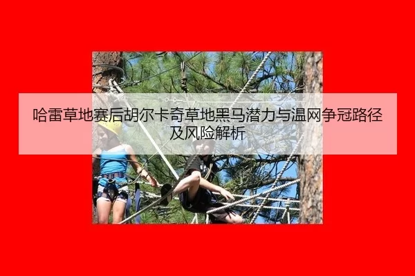 哈雷草地赛后胡尔卡奇草地黑马潜力与温网争冠路径及风险解析