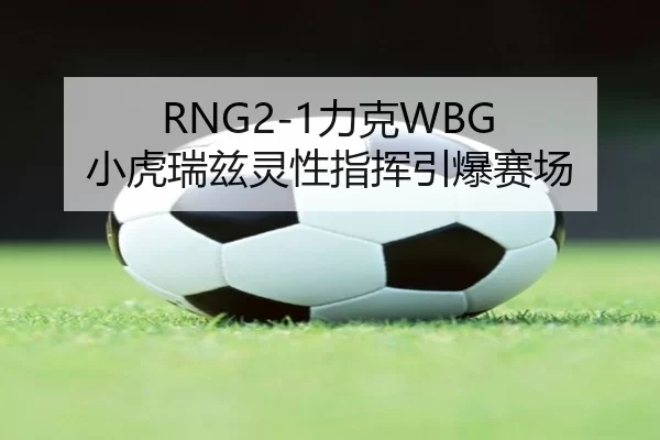 li-ke-xiao-hu-rui-zi-ling-xing-zhi-hui-yin-bao-sai-chang-2-412.jpg