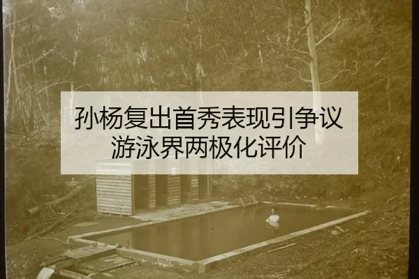 sun-yang-fu-chu-shou-xiu-biao-xian-yin-zheng-yi-you-yong-jie-liang-ji-hua-ping-jia-2-847.jpg