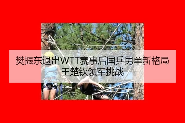 樊振东退出WTT赛事后国乒男单新格局王楚钦领军挑战